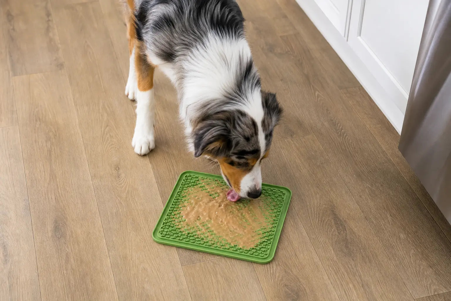 Dog calmly licking soft food from a silicone lick mat on a floor indoors.