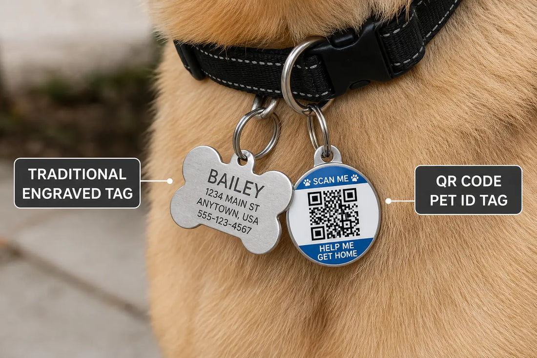 Dog collar with a traditional engraved ID tag next to a QR code pet ID tag.