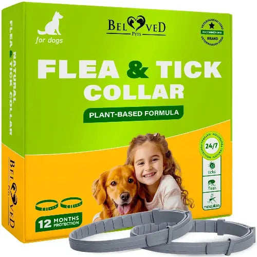 Flea & Tick Collar for Dogs 6-Month Protection Essential Oil 2 Count by Zamzamas