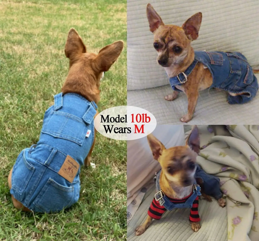 Dog Denim Overalls Jumpsuit Adjustable Pet Jeans for Small Dogs Cats Wags & Whiskers Pet Supply