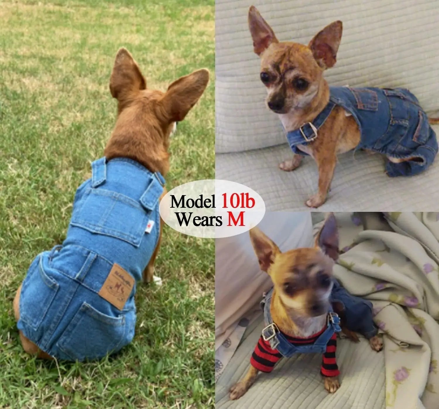Dog Denim Overalls Jumpsuit Adjustable Pet Jeans for Small Dogs Cats Wags & Whiskers Pet Supply