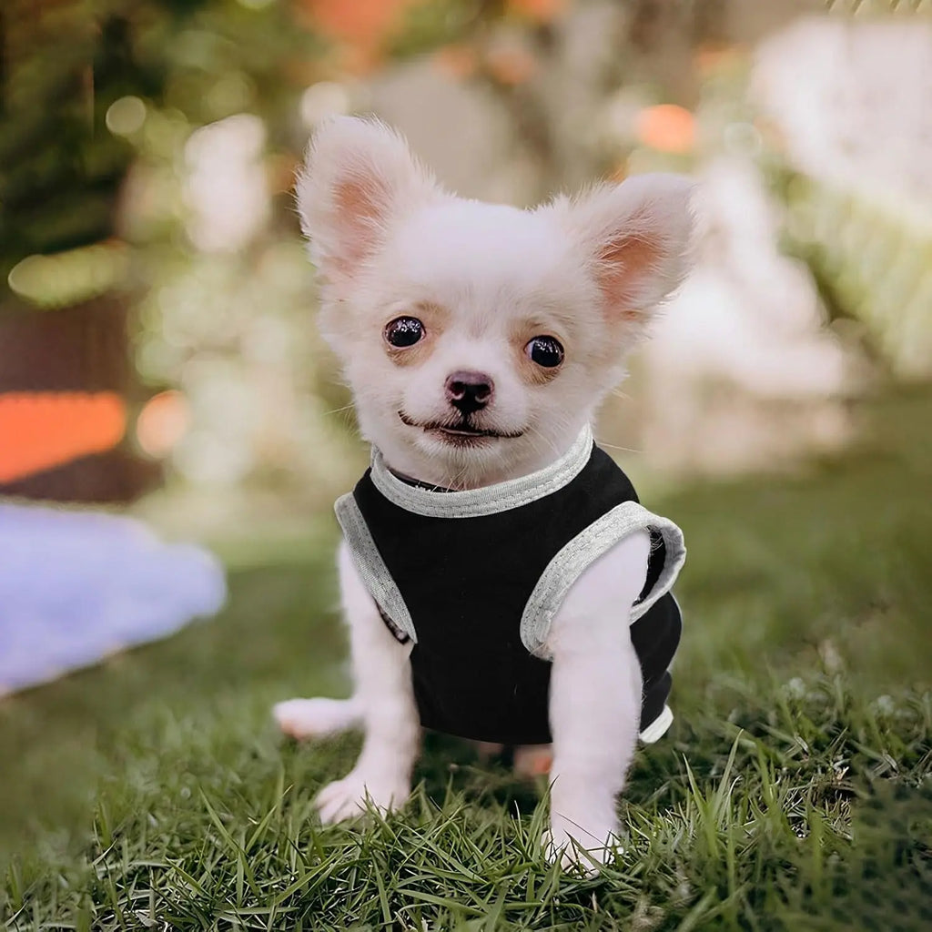 Small Dog Shirts — Cute Puppy Clothes for Chihuahua, Yorkie & Small Breeds | 4-Pack Wags & Whiskers Pet Supply