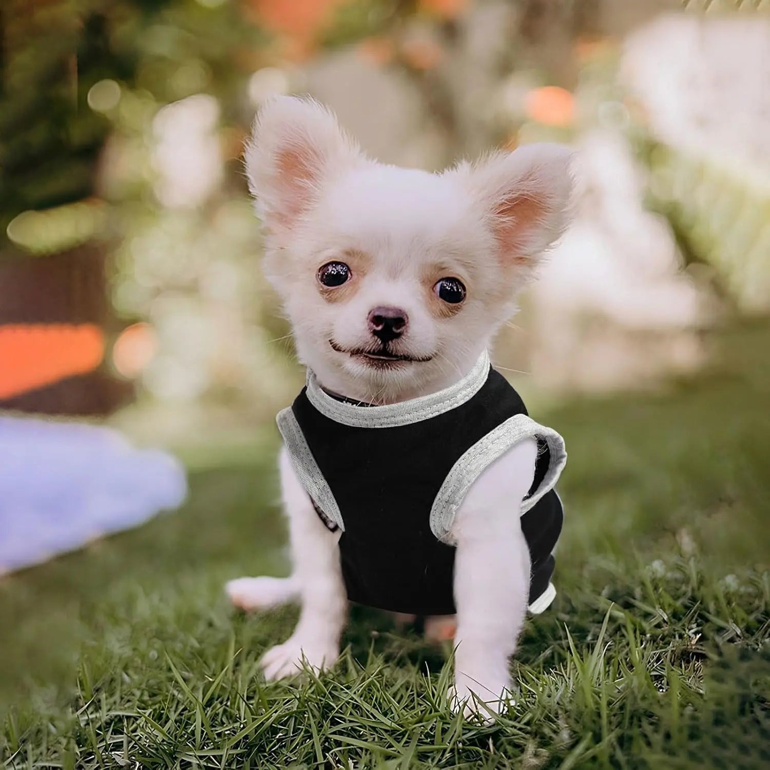 Small Dog Shirts — Cute Puppy Clothes for Chihuahua, Yorkie & Small Breeds | 4-Pack Wags & Whiskers Pet Supply