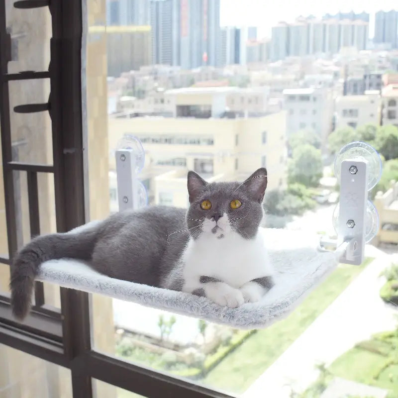 Cat Suction Cup Window Glass Hammock Pet Cat Pets Products Sochenda