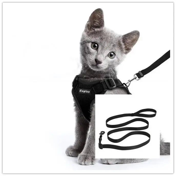 Adjustable Mesh Cat Harness Escape Proof With Car Seat Belt L - FurrBaby Necessities