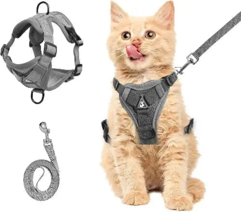 Breathable Soft Mesh Cat Harness With Leash And Adjustable Escape Proof Vest For All Cats - FurrBaby Necessities