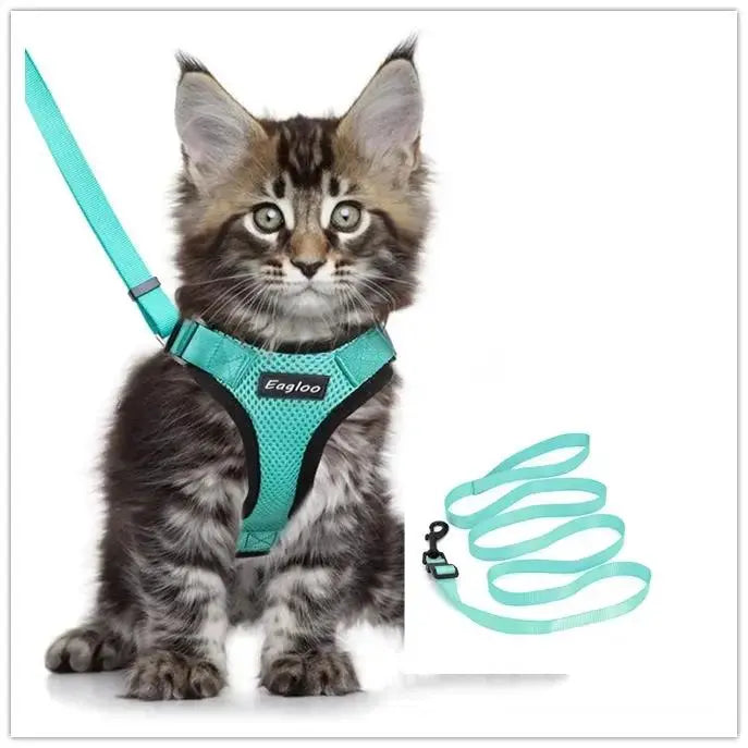 Adjustable Mesh Cat Harness Escape Proof With Car Seat Belt L - FurrBaby Necessities