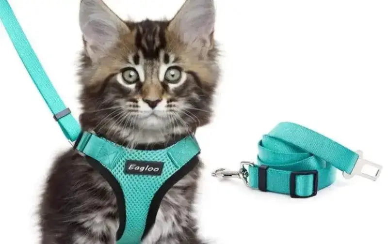 Adjustable Mesh Cat Harness Escape Proof With Car Seat Belt L - FurrBaby Necessities