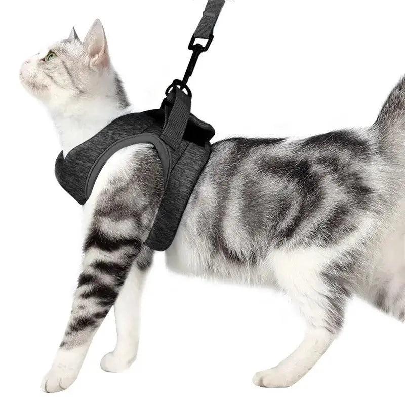 Lightweight Chest Harness Cat Leash Vest With Rope - FurrBaby Necessities