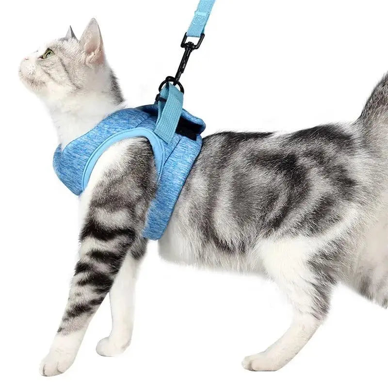 Lightweight Chest Harness Cat Leash Vest With Rope - FurrBaby Necessities