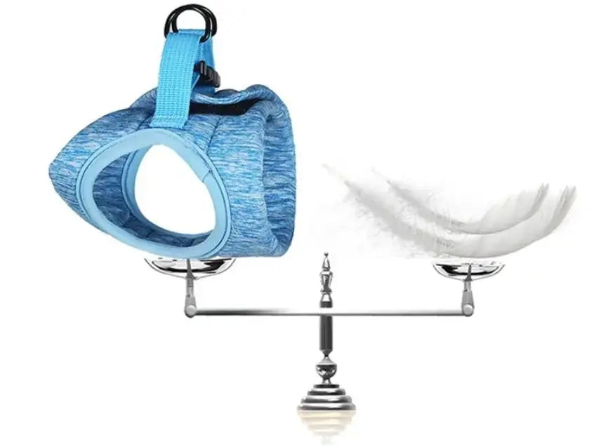 Lightweight Chest Harness Cat Leash Vest With Rope - FurrBaby Necessities