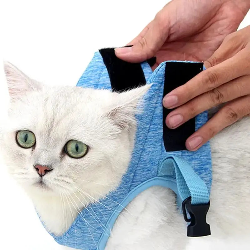 Lightweight Chest Harness Cat Leash Vest With Rope - FurrBaby Necessities