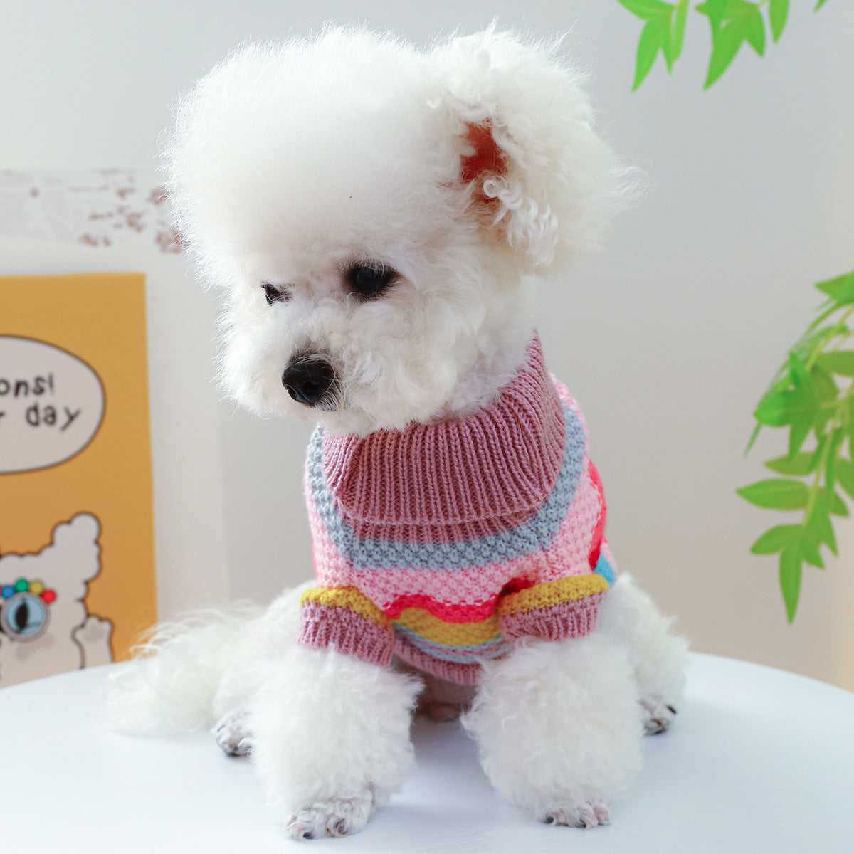 Pet Ring Comfortable Colorful Striped Sweater Pet Zen