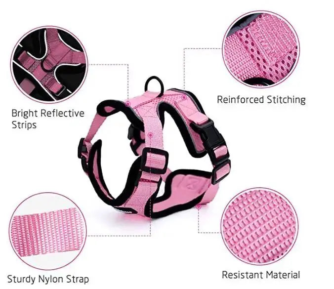 Adjustable Mesh Cat Harness Escape Proof With Car Seat Belt L - FurrBaby Necessities