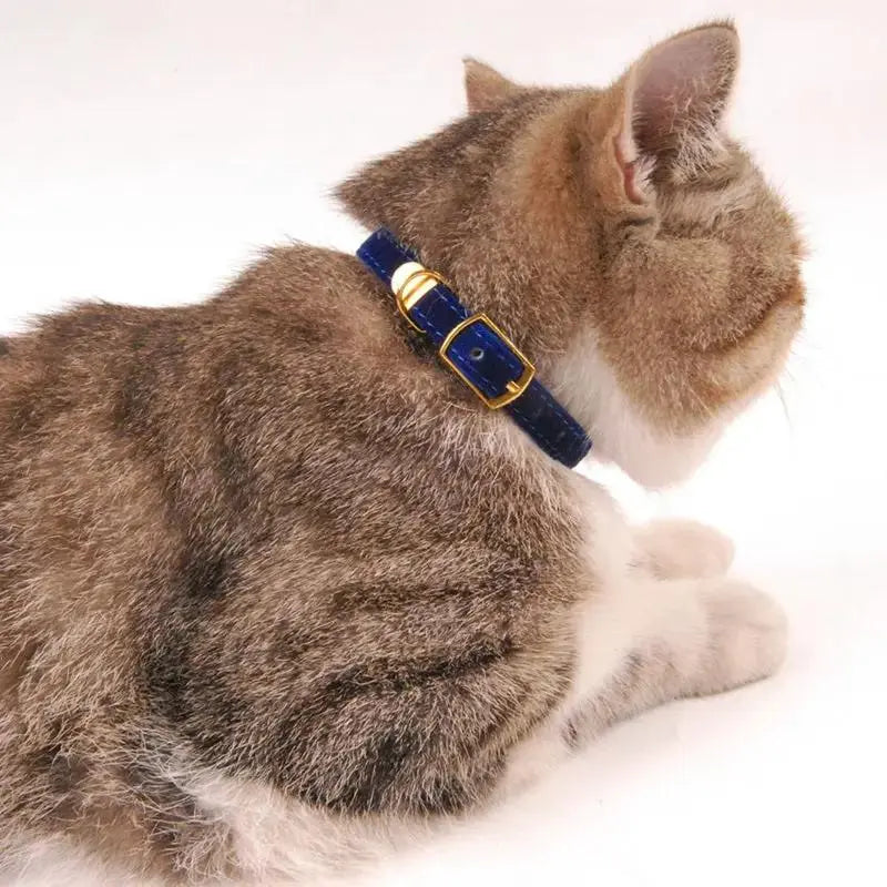 Luxury Velvet Buckle Cat Collar Adjustable Breakaway Safety Design - FurrBaby Necessities