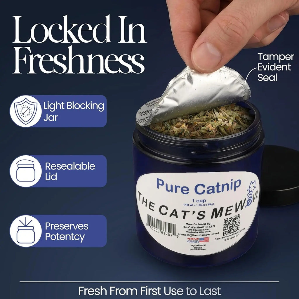 Pure Catnip for Cats North American Grown Fresh Catnip Jar Wags & Whiskers Pet Supply