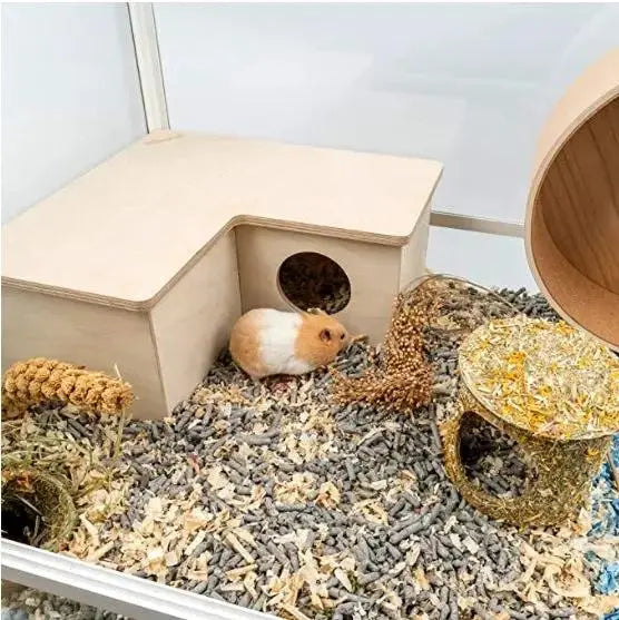 Hamster Multi-Room by Sell My Stuff