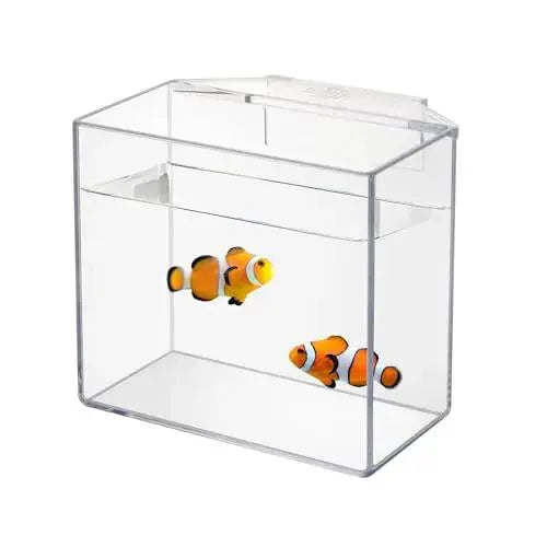 IOAOI Drip Acclimation Container for Fish & Corals – Hanging Acclimation Box for Saltwater & Freshwater Aquariums by IOAOI