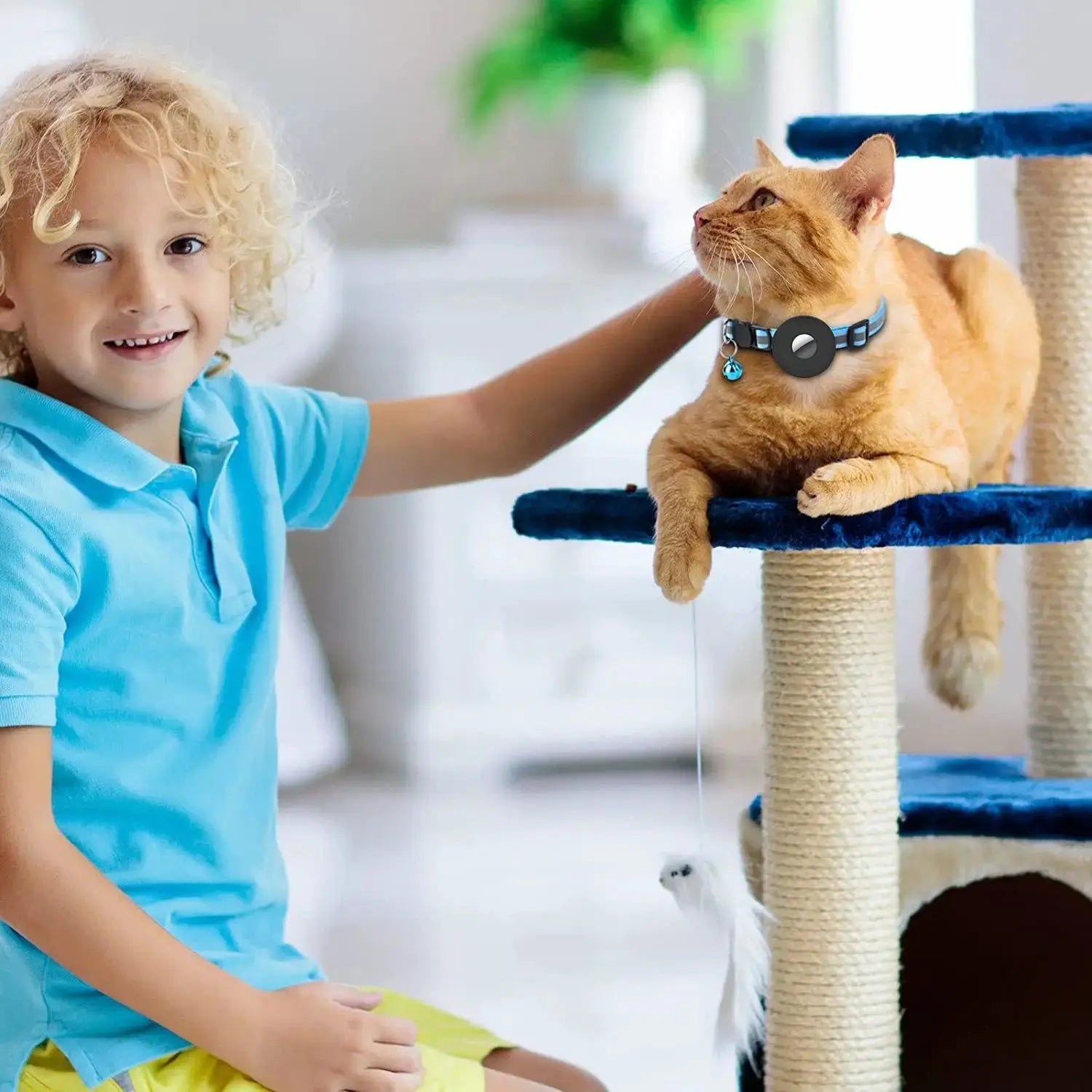 Airtag Pet Collar With Bell Reflective Adjustable Anti-lost Cat Dog Collar by My Store
