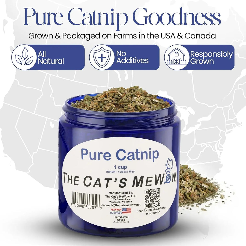 Pure Catnip for Cats North American Grown Fresh Catnip Jar Wags & Whiskers Pet Supply
