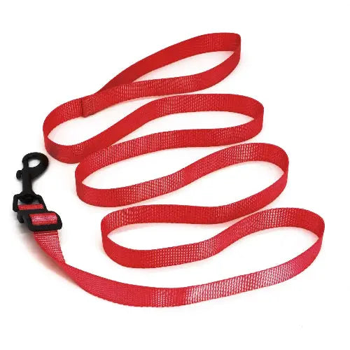 Adjustable Mesh Cat Harness Escape Proof With Car Seat Belt L - FurrBaby Necessities
