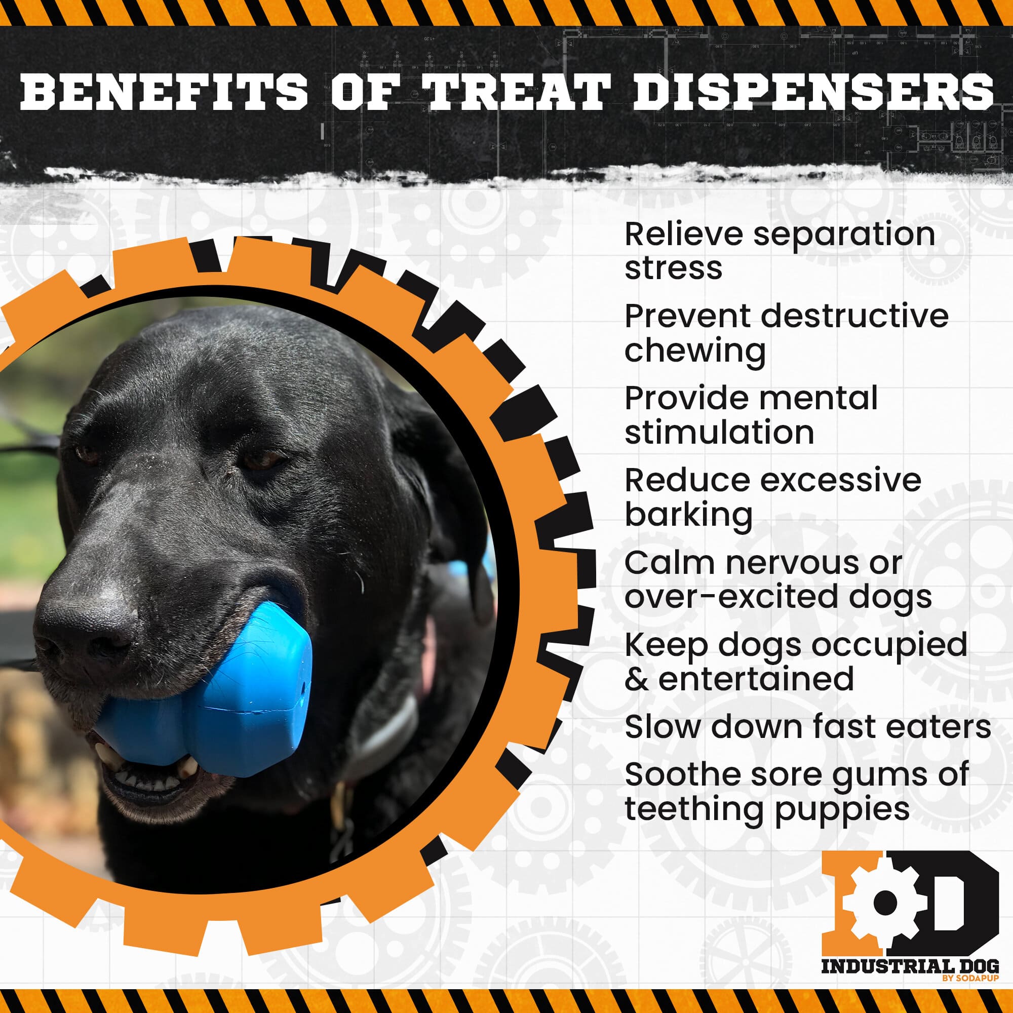 Double Trouble Dog Toy - Dual Chamber Treat Dispenser for Large Dogs | USA Made