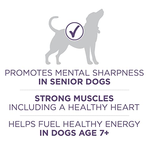 Purina ONE SmartBlend Natural Healthy Weight Formula Adult Dry Dog Food Food