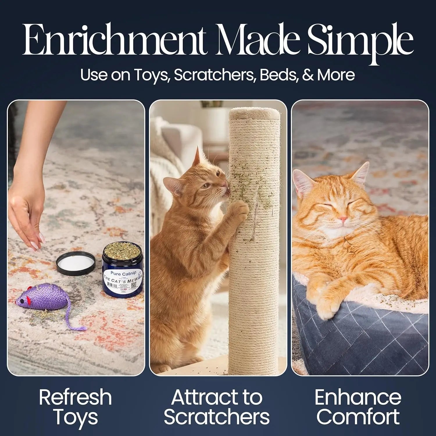 Pure Catnip for Cats North American Grown Fresh Catnip Jar Wags & Whiskers Pet Supply