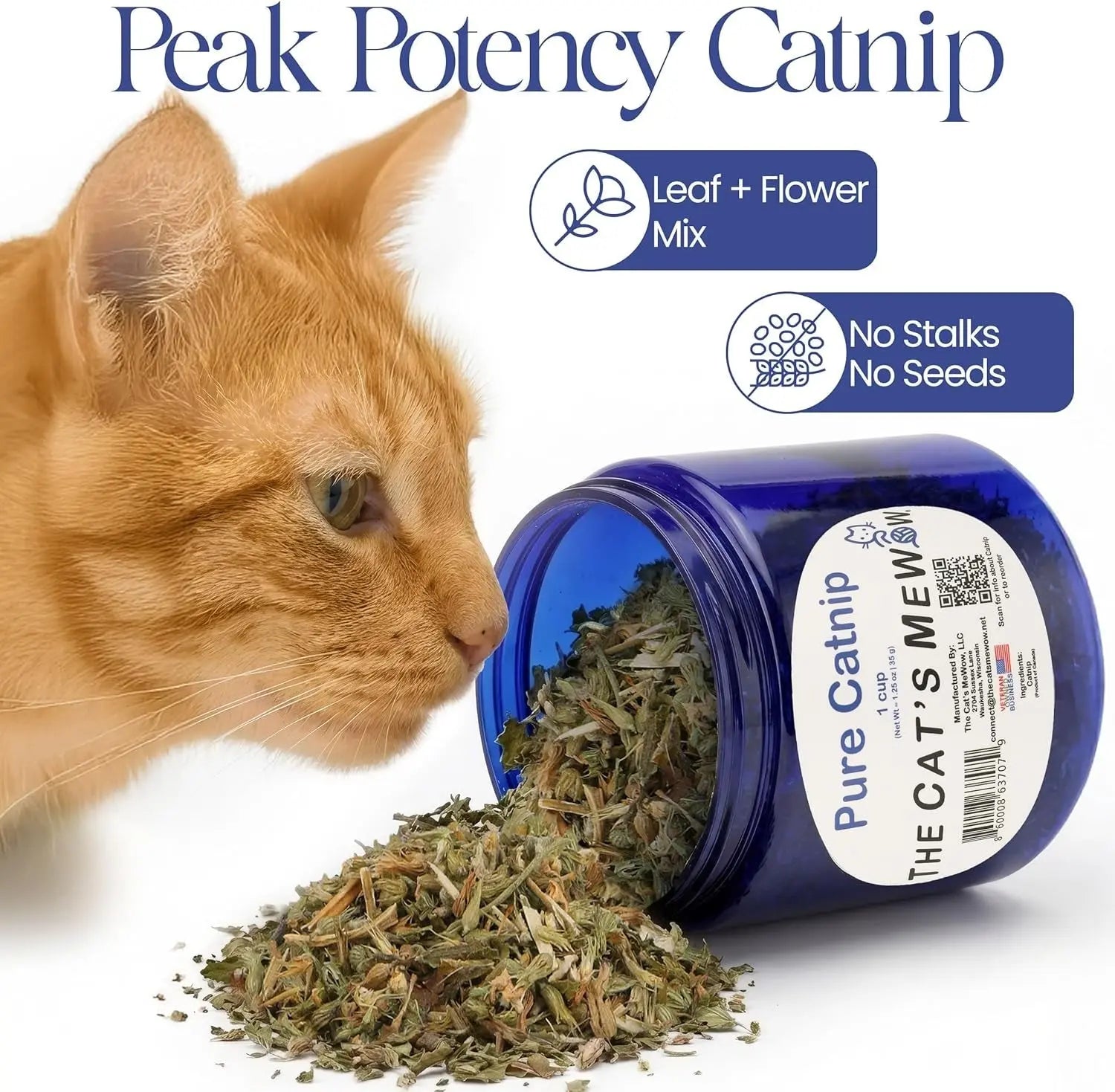 Pure Catnip for Cats North American Grown Fresh Catnip Jar Wags & Whiskers Pet Supply