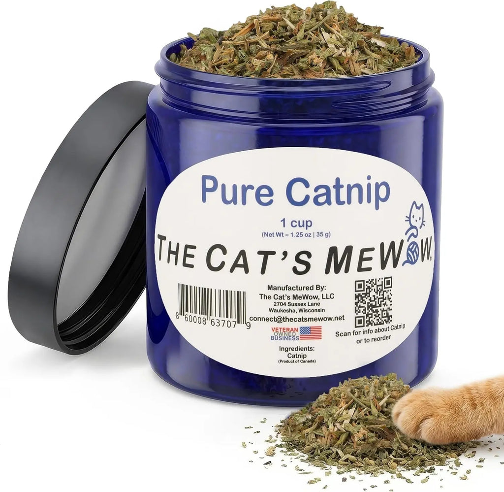 Pure Catnip for Cats North American Grown Fresh Catnip Jar Wags & Whiskers Pet Supply