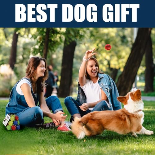 AMA SPORT Dog Tennis Balls for Dogs to Fetch Tennis Balls for Puppy Small Medium Dogs with Mesh Bag, Designed for Dog Floating, Water-Hunting, Fun Playing, Daily Exercise, mid-air Catching