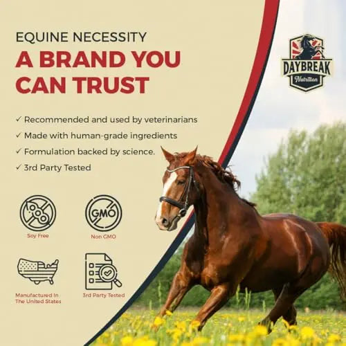 Daybreak Nutrition Maximum Strength Horse Joint Supplement - Joint Supplement for Horses - Glucosamine, MSM, Chondroitin, Turmeric, Hyaluronic Acid, & Boswelia - 30 Day Supply - FurrBaby Necessities