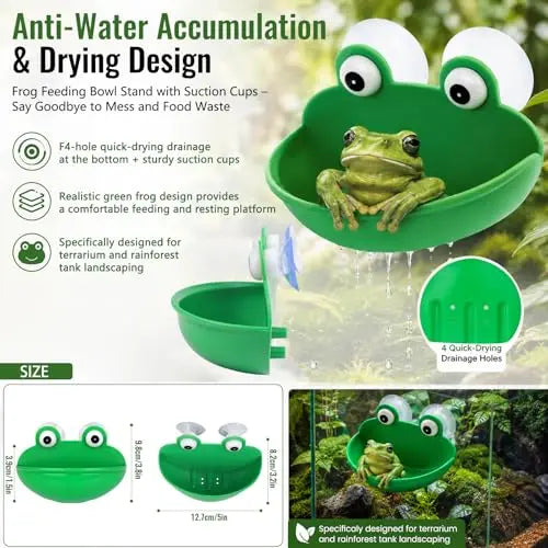 Frog Tank Accessories Set – Complete Tree Frog Habitat Kit - FurrBaby Necessities