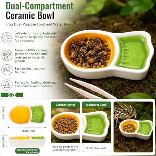 Frog Tank Accessories Set – Complete Tree Frog Habitat Kit - FurrBaby Necessities
