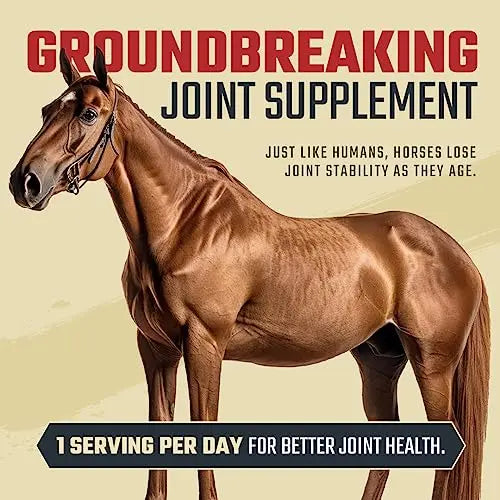 Daybreak Nutrition Maximum Strength Horse Joint Supplement - Joint Supplement for Horses - Glucosamine, MSM, Chondroitin, Turmeric, Hyaluronic Acid, & Boswelia - 30 Day Supply - FurrBaby Necessities