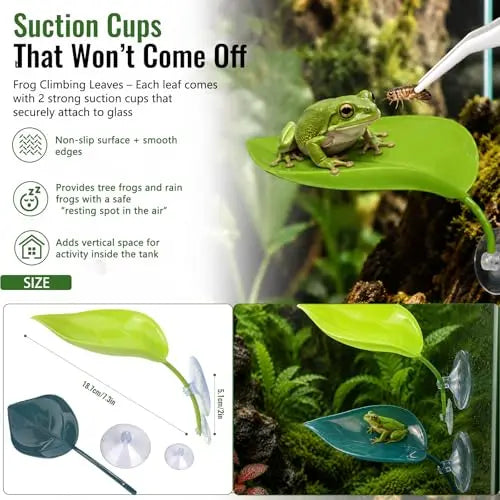 Frog Tank Accessories Set – Complete Tree Frog Habitat Kit - FurrBaby Necessities