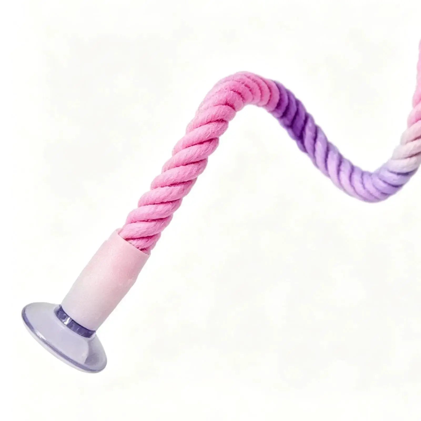 Bird Rope Perch Suction Cup Stretchable Bendable Colorful by Generic
