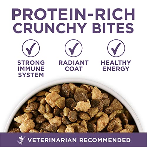Purina ONE SmartBlend Natural Healthy Weight Formula Adult Dry Dog Food Food
