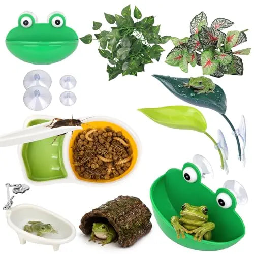 Frog Tank Accessories Set – Complete Tree Frog Habitat Kit - FurrBaby Necessities