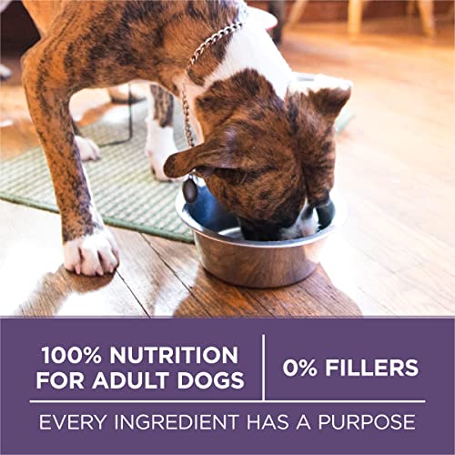Purina ONE SmartBlend Natural Healthy Weight Formula Adult Dry Dog Food Food