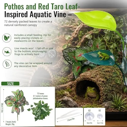 Frog Tank Accessories Set – Complete Tree Frog Habitat Kit - FurrBaby Necessities