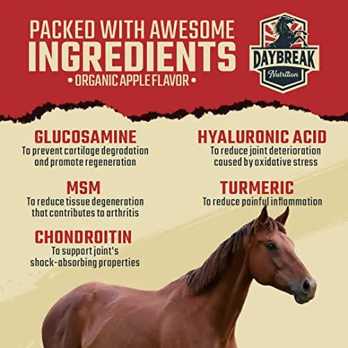 Daybreak Nutrition Maximum Strength Horse Joint Supplement - Joint Supplement for Horses - Glucosamine, MSM, Chondroitin, Turmeric, Hyaluronic Acid, & Boswelia - 30 Day Supply - FurrBaby Necessities