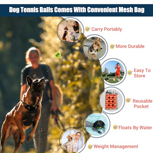 AMA SPORT Dog Tennis Balls for Dogs to Fetch Tennis Balls for Puppy Small Medium Dogs with Mesh Bag, Designed for Dog Floating, Water-Hunting, Fun Playing, Daily Exercise, mid-air Catching
