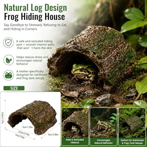 Frog Tank Accessories Set – Complete Tree Frog Habitat Kit - FurrBaby Necessities
