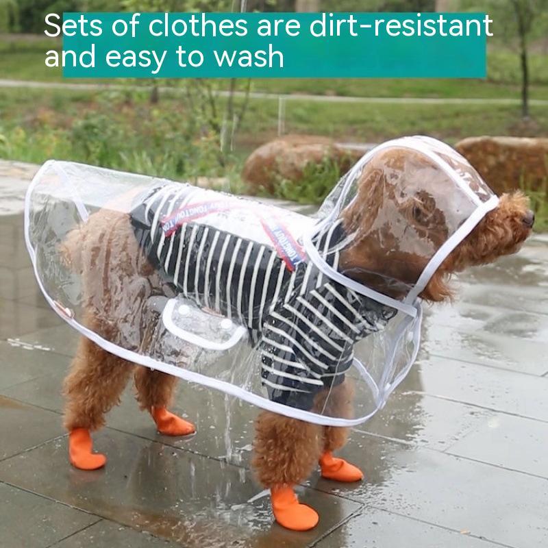 Pet Raincoat Dog Small Dog Pet Zen
