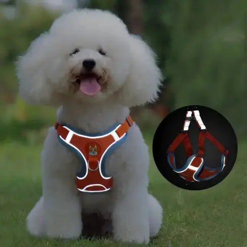 New Dog Leash And Harness Set Pet Dog Harness And Leash Set Adjustable Puppy Cat Harness Vest Reflective Walking No Pull Lead Leash For Small Dogs Chihuahua by Sell My Stuff