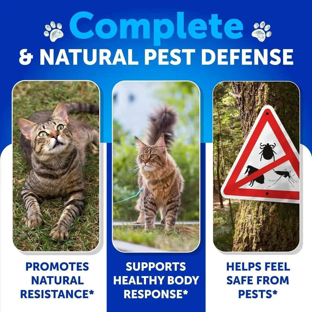 Flea & Tick Chews for Cats & Kittens 135 Count Daily Oral Skin & Coat by Zamzamas