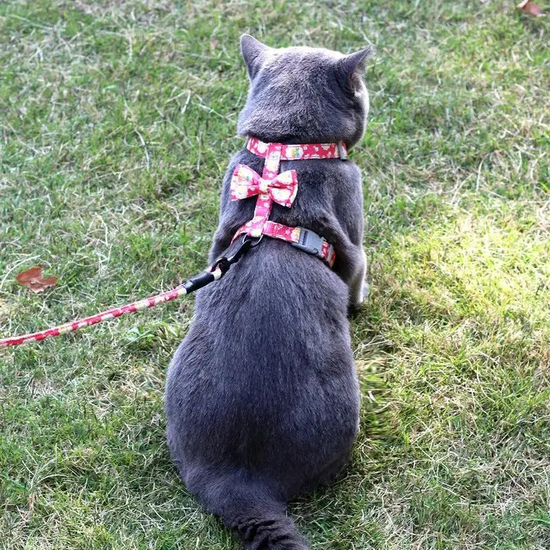 Japanese Style Floral Cat Leash And Harness Set For Small Pets - FurrBaby Necessities