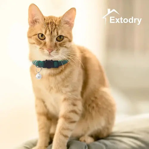 6 Pack Classic Plaid Cat Collars with Bells - Breakaway Kitten Collar and Adjustable 7-12in,Cute Kitty Collar for Girl Boy Cats,Pet Gifts,Accessories,Supplies,Stuff by Extodry