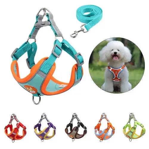 New Dog Leash And Harness Set Pet Dog Harness And Leash Set Adjustable Puppy Cat Harness Vest Reflective Walking No Pull Lead Leash For Small Dogs Chihuahua by Sell My Stuff